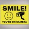 Avery Smile You're on Camera Video Surveillance Labels, Waterproof, UV Resistant, Preprinted, 3.5" X 5", 8 Labels